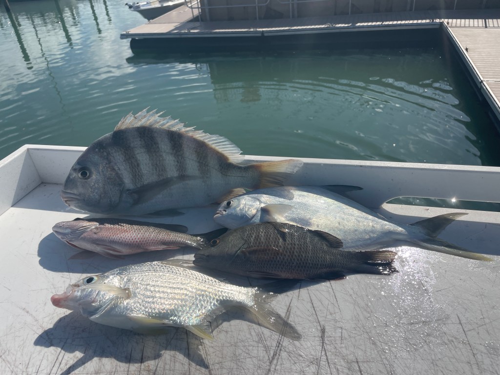 Pompano in the&nbsp;River!