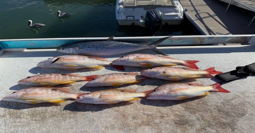 Chasing Fish, Finding Beauty, and Landing a Prize&nbsp;Redfish