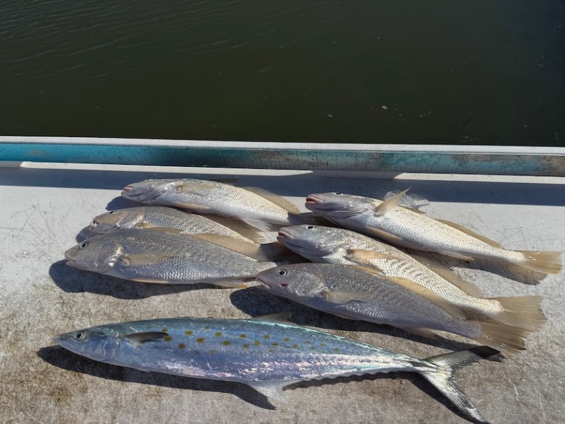 Chasing Tarpon Dreams at the Boils: A Reel Blessed Day on the Treasure&nbsp;Coast
