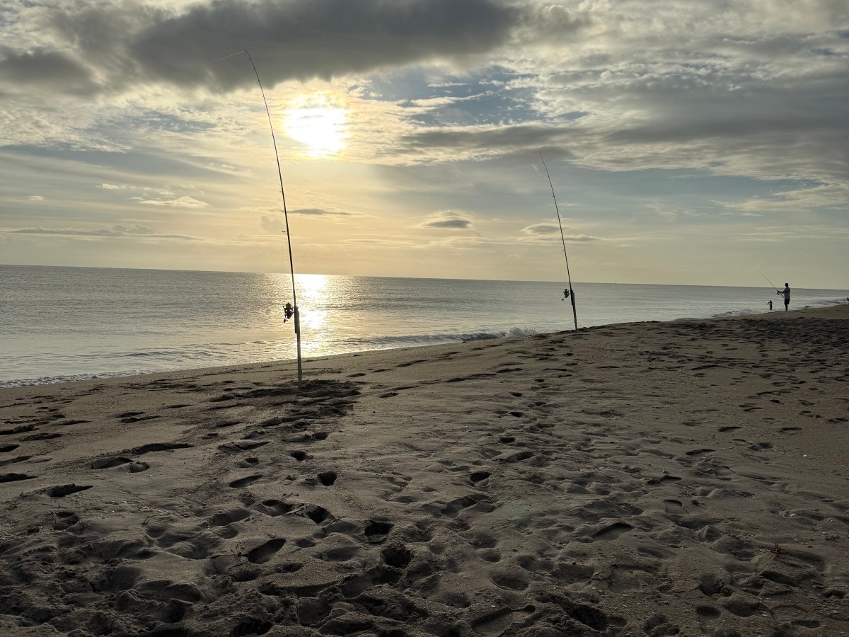 Thanksgiving Morning Surf Fishing at Blue Heron&nbsp;Beach