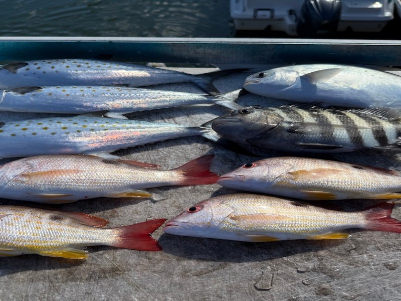 Putting the Next Generation on Fish: A Day at the&nbsp;Boils