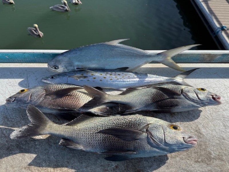 From Foggy Inlet to Tight Lines: A Day at the Fort Pierce&nbsp;Boils