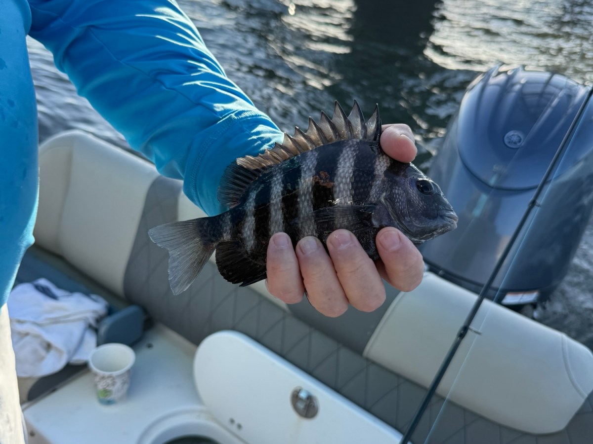 When the Cooler Is Light but the Day Is&nbsp;Full