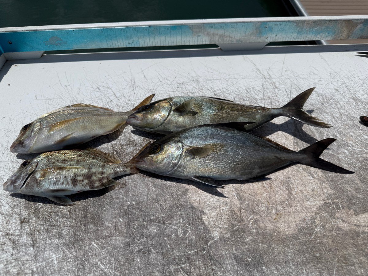 Calm Water, Tough Bite, and an Unexpected Bonefish&nbsp;Finish